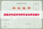 湖南涉外经济学院毕业证样本图片
