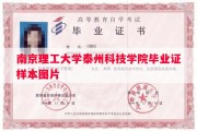 南京理工大学泰州科技学院毕业证样本图片