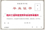 四川工业科技学院毕业证样本图片