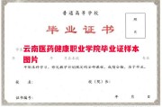 云南医药健康职业学院毕业证样本图片