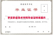罗定职业技术学院毕业证样本图片