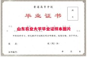 山东农业大学毕业证样本图片
