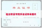 临沧职业学院毕业证样本图片