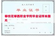 攀枝花攀西职业学院毕业证样本图片