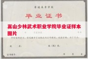 嵩山少林武术职业学院毕业证样本图片
