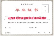 山西青年职业学院毕业证样本图片