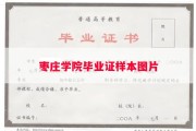 枣庄学院毕业证样本图片
