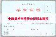中国美术学院毕业证样本图片