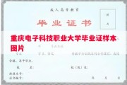 重庆电子科技职业大学毕业证样本图片
