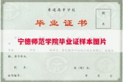 宁德师范学院毕业证样本图片