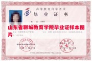 山东省聊城教育学院毕业证样本图片