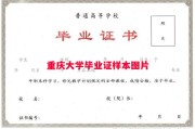 重庆大学毕业证样本图片