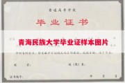 青海民族大学毕业证样本图片