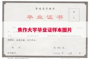 焦作大学毕业证样本图片