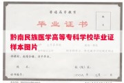 黔南民族医学高等专科学校毕业证样本图片