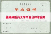 西藏藏医药大学毕业证样本图片