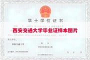 西安交通大学毕业证样本图片