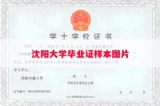 沈阳大学毕业证样本图片