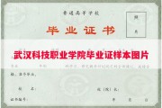 武汉科技职业学院毕业证样本图片