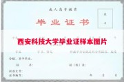 西安科技大学毕业证样本图片