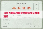 山东力明科技职业学院毕业证样本图片
