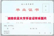 湖南农业大学毕业证样本图片