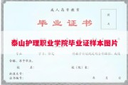 泰山护理职业学院毕业证样本图片