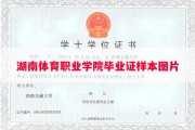 湖南体育职业学院毕业证样本图片