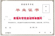青海大学毕业证样本图片