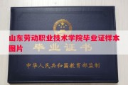 山东劳动职业技术学院毕业证样本图片