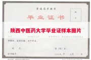 陕西中医药大学毕业证样本图片