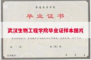武汉生物工程学院毕业证样本图片