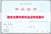 西安文理学院毕业证样本图片