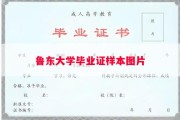 鲁东大学毕业证样本图片