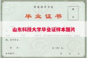山东科技大学毕业证样本图片