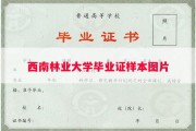 西南林业大学毕业证样本图片