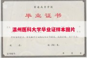 温州医科大学毕业证样本图片