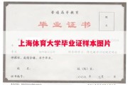 上海体育大学毕业证样本图片