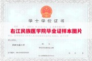 右江民族医学院毕业证样本图片