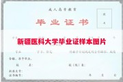 新疆医科大学毕业证样本图片