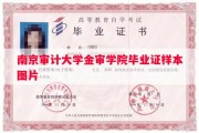 南京审计大学金审学院毕业证样本图片