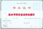新乡学院毕业证样本图片