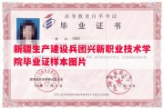 新疆生产建设兵团兴新职业技术学院毕业证样本图片