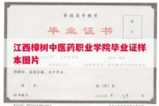江西樟树中医药职业学院毕业证样本图片