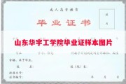 山东华宇工学院毕业证样本图片