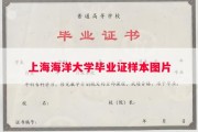 上海海洋大学毕业证样本图片