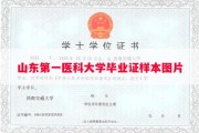 山东第一医科大学毕业证样本图片
