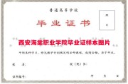 西安海棠职业学院毕业证样本图片