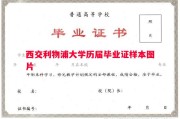 西交利物浦大学历届毕业证样本图片