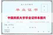 中国民航大学毕业证样本图片
